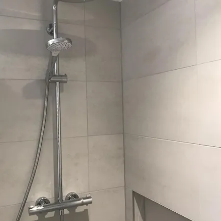 Almenrausch 1- Og Sued-ost Appartement-fewo- Bad- Wc By Interhome * Riederalp