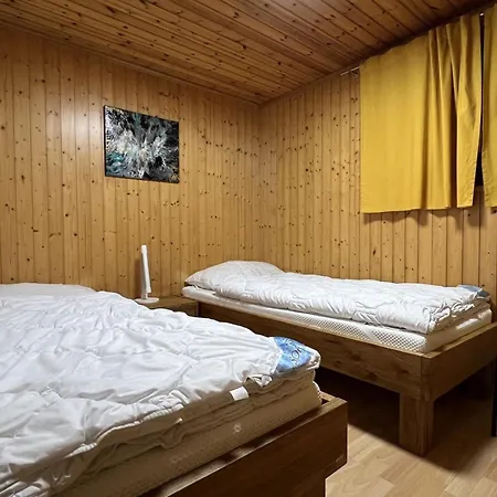 Almenrausch 1- Og Sued-ost Appartement-fewo- Bad- Wc By Interhome * Riederalp